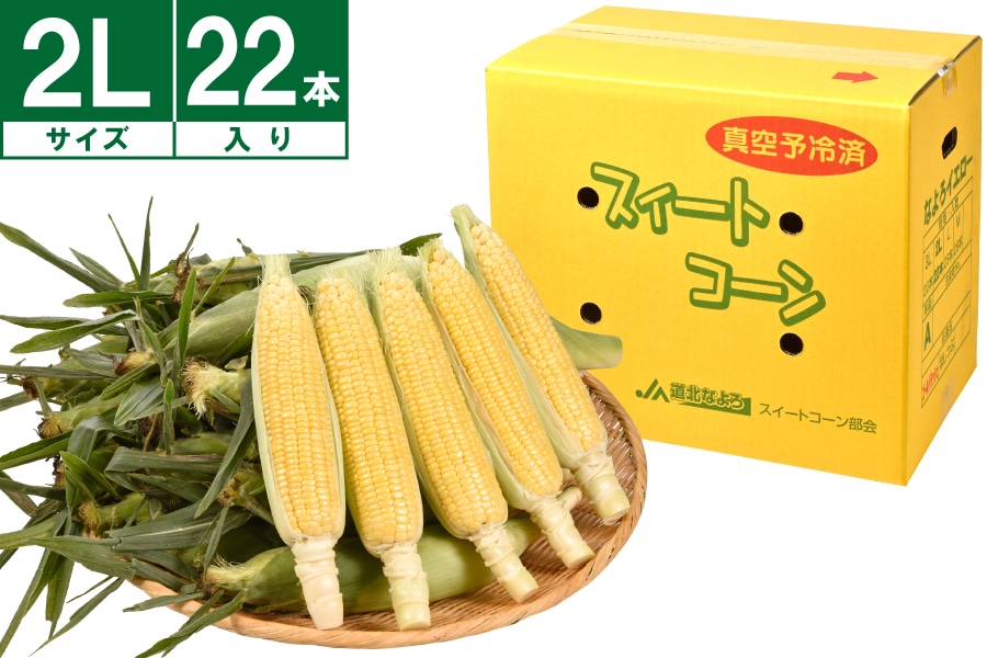 名寄産なよろイエロー2L 22本《8月中旬~発送開始》