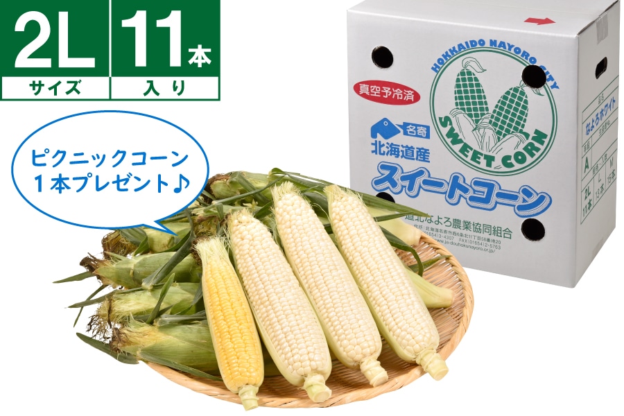 名寄産ホワイトコーン 2L 11本《8月中旬~発送開始》