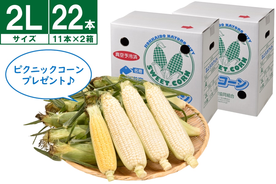 YzCgR[@2L 11{×2s8{`Jnt