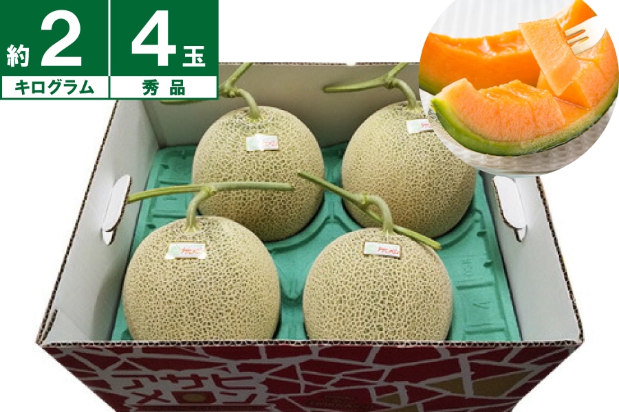 ATqGi2.0kg×4ʁs6{`Jnt
