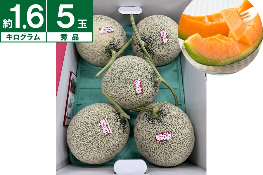 ATqGi1.6kg×5ʁs6{`Jnt