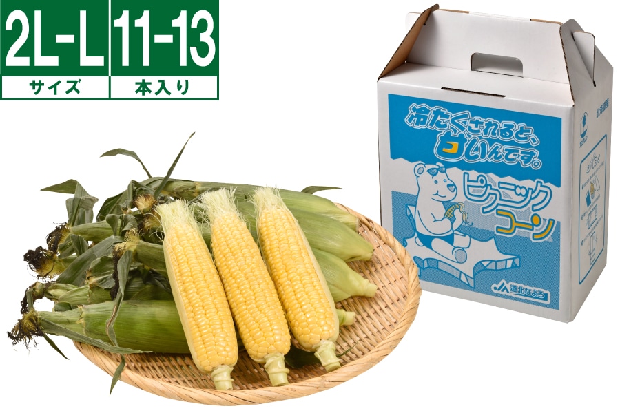 名寄産ピクニックコーン 2L~L 11本~13本《8月中旬~発送開始》