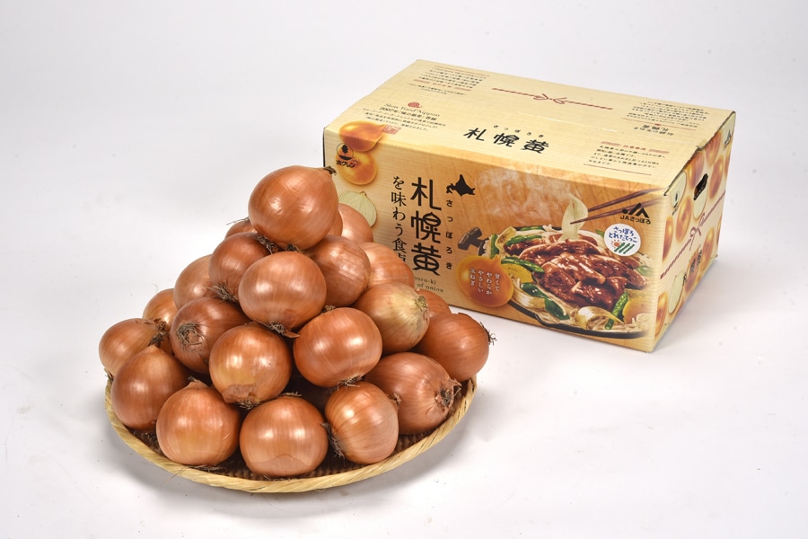 JAさっぽろ 札幌黄 L~L大サイズ約10kg《10月中旬~発送開始》