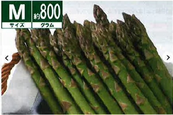 北海道産 グリーンアスパラガス(露地栽培) Мサイズ約800g 《5月下旬~発送開始》