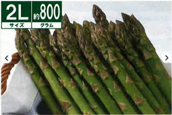 【2025年受付終了】北海道産 グリーンアスパラガス(露地栽培) 2Lサイズ約800g【数量限定】《5月下旬〜発送開始》