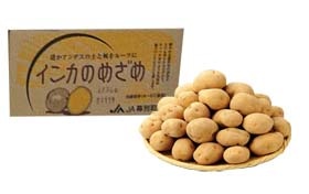 JA幕別町 インカのめざめ S~Mサイズ 約10kg 《11月下旬~発送開始》