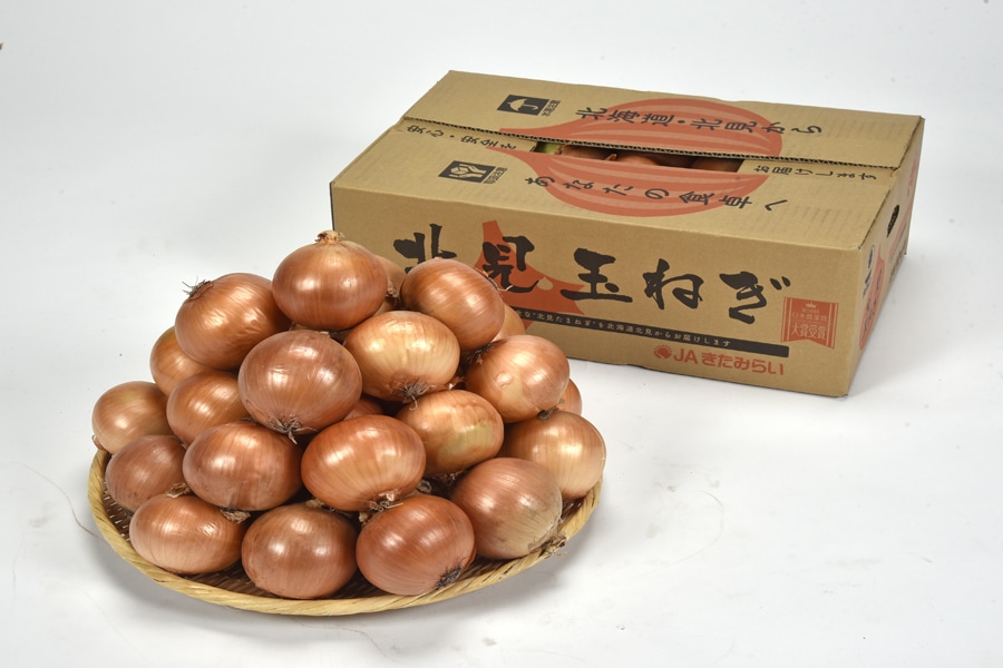 JAきたみらい 玉ねぎ L~L大サイズ 約10kg 《10月上旬~発送開始》