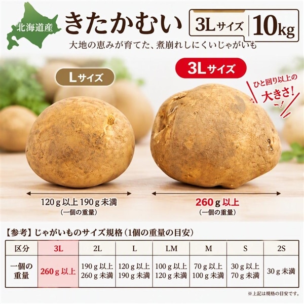 �yMEGA�T�C�Y�z�k�C���Y�������ނ� 3L�E10kg�s10�����{�`�����J�n�t