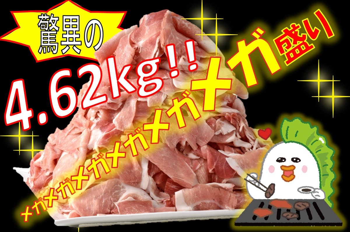 ホクレン 北海道産SPF豚もも切り落とし 山盛りセット 770g×6袋