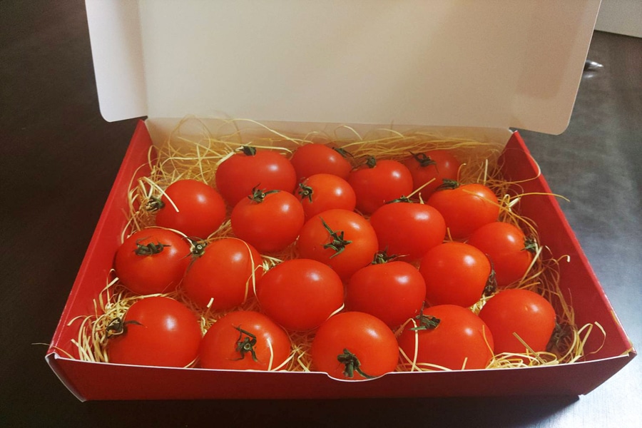 幻のトマト「光(ヒカル)1号」約1kg(18~24玉)《7月下旬~発送開始》
