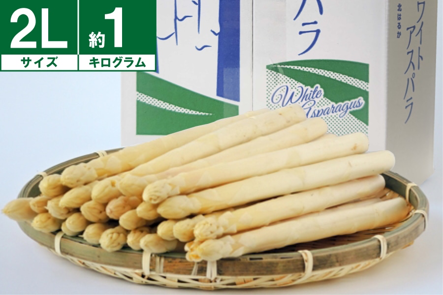 JA北はるか ホワイトアスパラガス2Lサイズ約1㎏(ハウス栽培) 《4月中旬~発送開始》