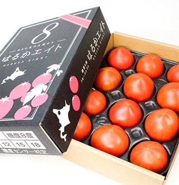 JA北はるか フルーツトマトはるかエイト12~15玉入り(約800g)《7月上旬~発送開始》