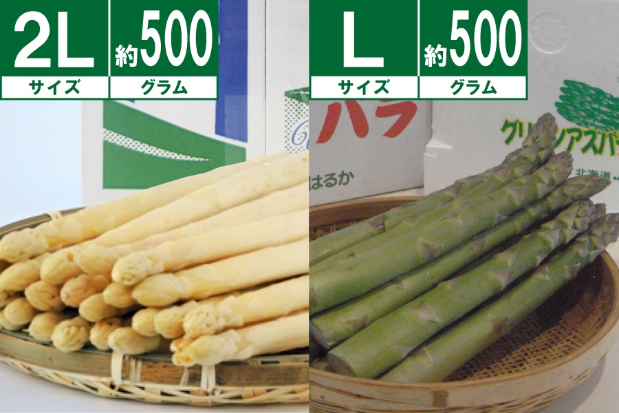 【2025年度受付終了】JA北はるか アスパラセット(ハウス栽培)約1kg(グリーン約500g、ホワイト約500g)【数量限定】《4月下旬~発送開始》