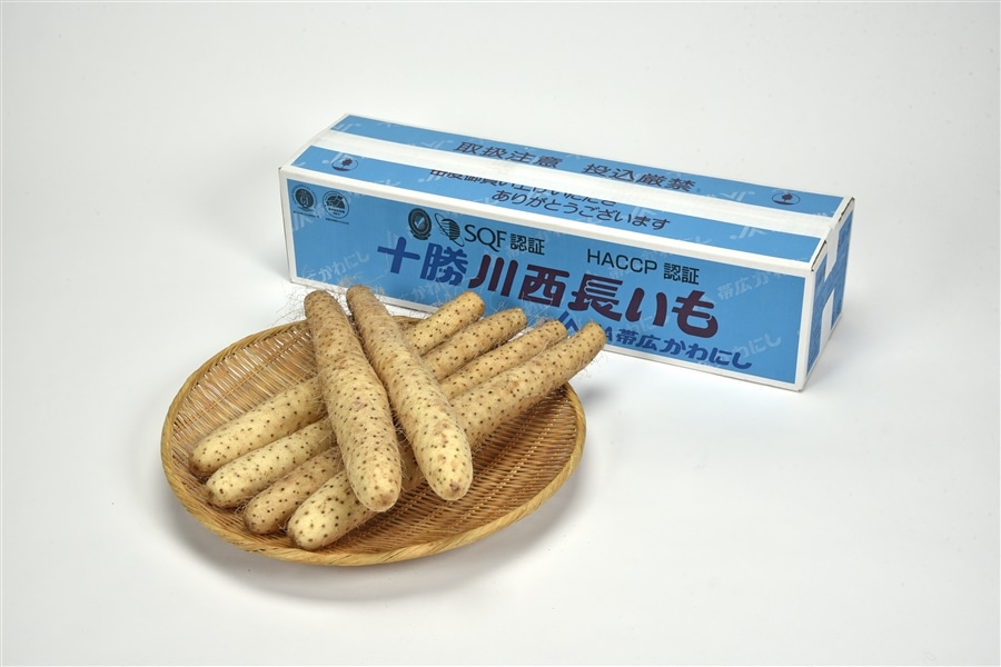 ߘa7NY@JAэLɂ@\쐼2L6{(5kg)