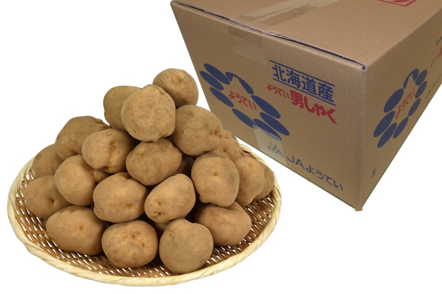 y~Gz JA悤Ă@jႭ@LTCY10s@s12{`Jnt