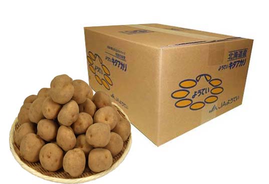 JA�悤�Ă��@�L�^�A�J���@L�T�C�Y��5�s�@�s9�����{�`�����J�n�t