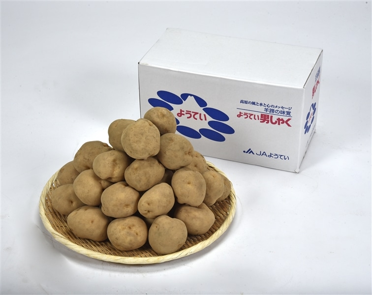 y~Gz JA悤Ă@jႭ@LTCY5s@s12{`Jnt