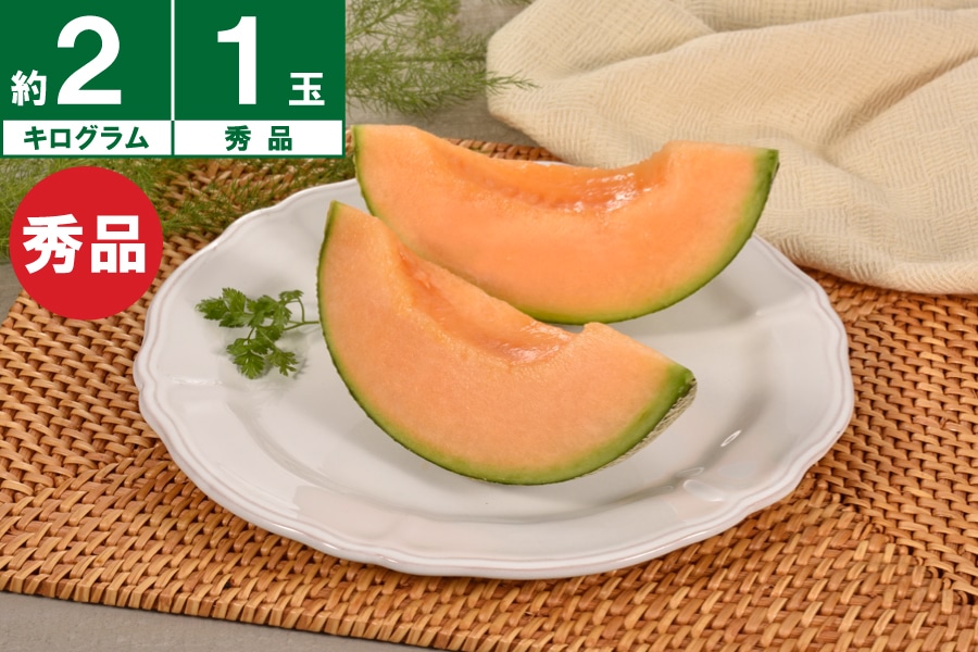 JAようてい ようていメロン秀品約2kg×1玉 《7月下旬~発送開始》