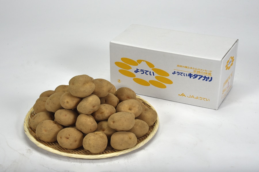JAようてい キタアカリ Lサイズ約5㎏ 《9月下旬~発送開始》