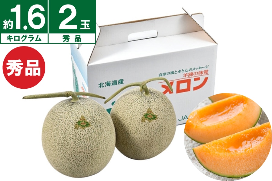 JAようてい ようていメロン秀品約1.6kg×2玉 《7月下旬~発送開始》