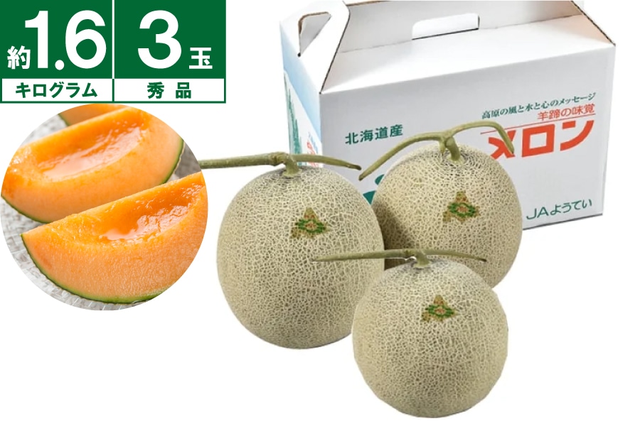 JAようてい ようていメロン秀品約1.6㎏×3玉 《7月下旬~発送開始》