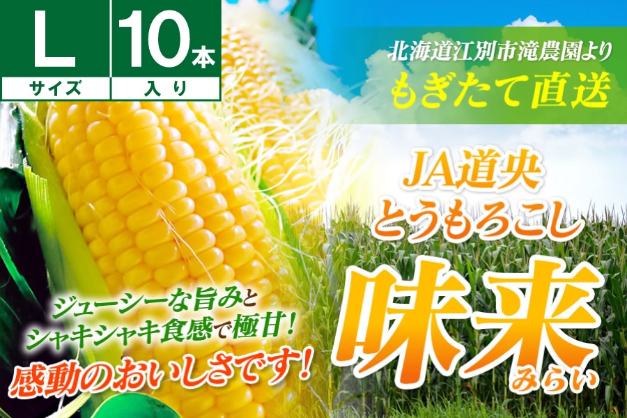 江別産 味来(みらい)スイートコーンL10本《8月中旬~発送開始》