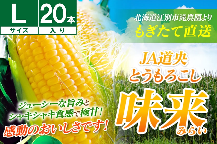 i݂炢jXC[gR[L20{s8{`Jnt