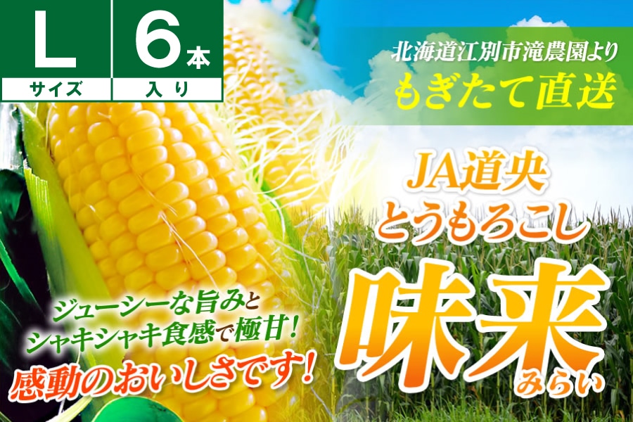江別産 味来(みらい)スイートコーンL6本《8月中旬~発送開始》
