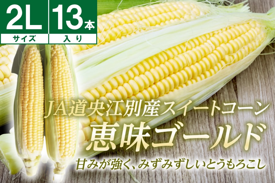 ]ʎY XC[gR[bS[h 2L 13{ s 8{`Jnt