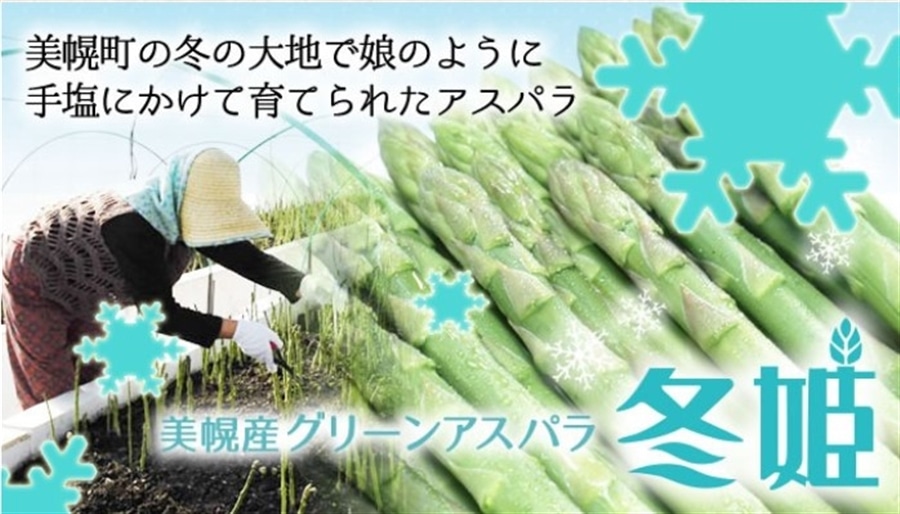 yʌzJAтق@yY O[AXpKX ~P@LTCY 1kg12{`\