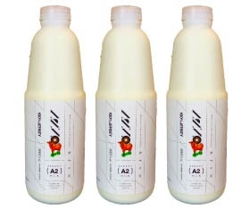 若里ジャージーミルク工房ARVO ARVOジャージーA2ミルクセット
