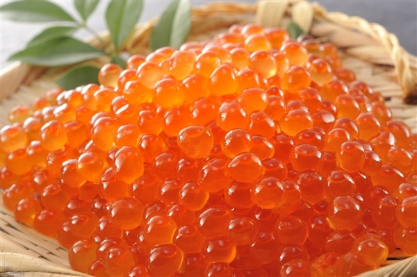 �k�C��������@������ݖ��Ё@100��×2��