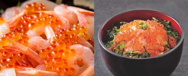 北海道ぎょれん 海鮮丼セット(3品)