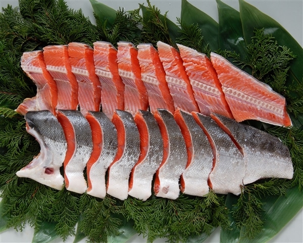 �n�����g���p�ؐg�i���Ȃ��j