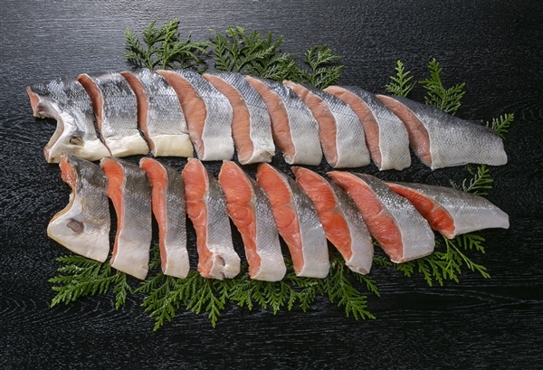 �g���E�H���p���g�ؐg�Z�b�g