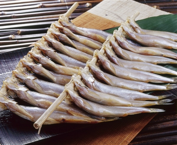 �k�C���Y������������i�����E�߂��j�e10��