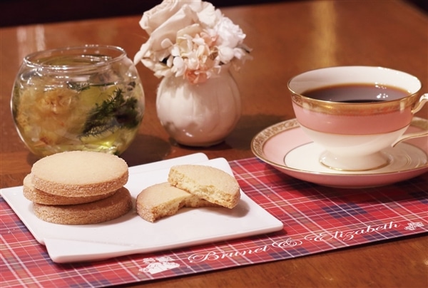 ���كV���[�g�u���b�h�@8��×2��