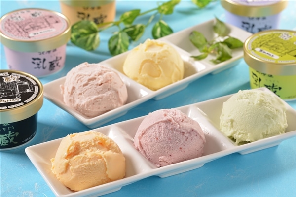 乳蔵 北海道アイスクリーム 5種12個
