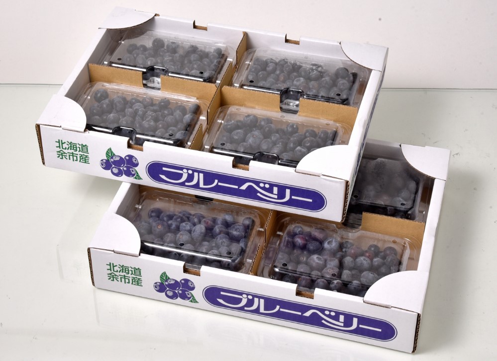 JAよいち　冷凍ブルーベリー（約250g×4個）×2箱