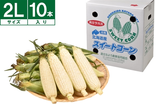 ����Y�z���C�g�R�[���@2L 10�{�s8�����{�`�����J�n�t