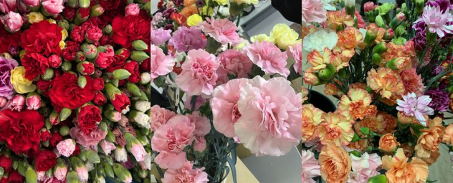 ���ђ��Y�@�X�v���[�J�[�l�[�V�����iMIX�j50�{