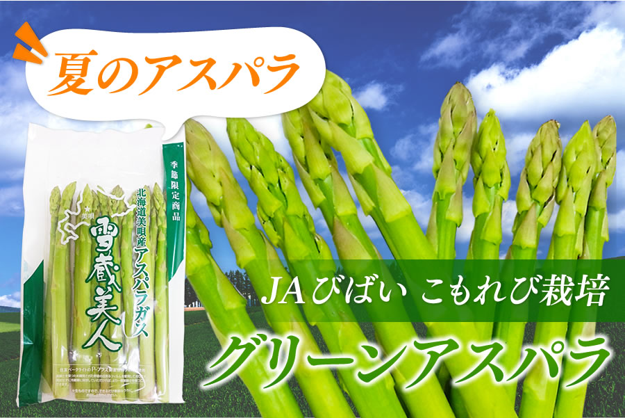 JAびばい こもれび栽培 グリーンアスパラガス 《7月上旬~発送開始》