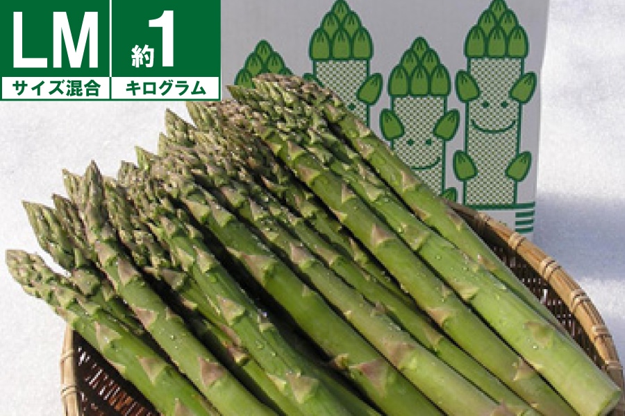 【2025年度受付終了】JA道央 グリーンアスパラガス(ハウス栽培) LMサイズ混合 約1kg 《3月下旬~発送開始》