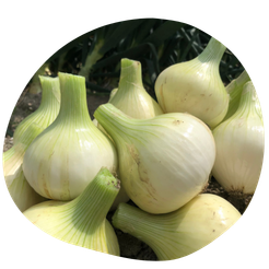 �@�l������������Ή��F���I�ē��󓙂�����OK�I