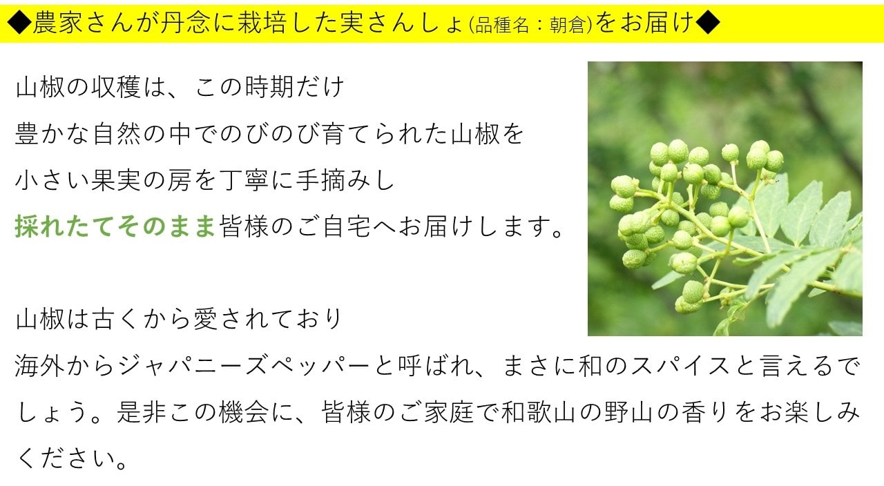 山椒説明1